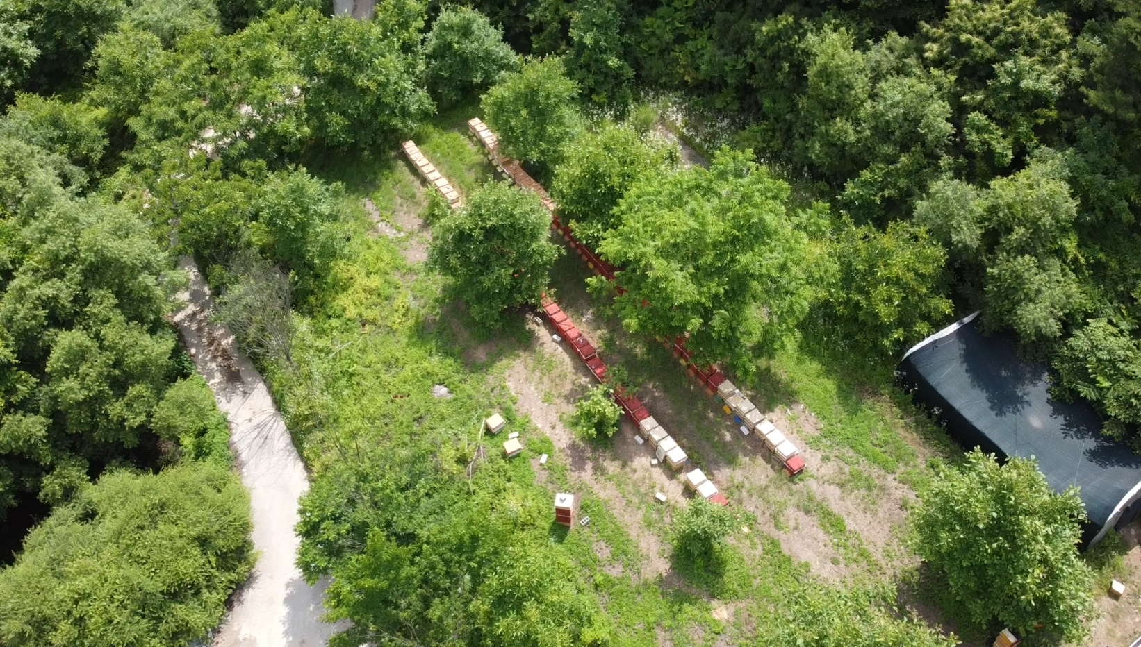 북위 36.5도 영주 전경